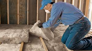 Best Eco-Friendly or Green Insulation Solutions  in Oelwein, IA